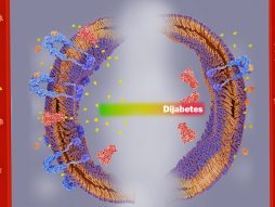dijabetes i hepatitis C