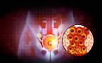 rak prostate