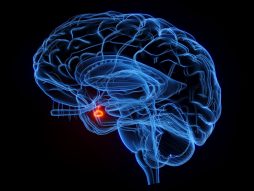 Tumor hipofize